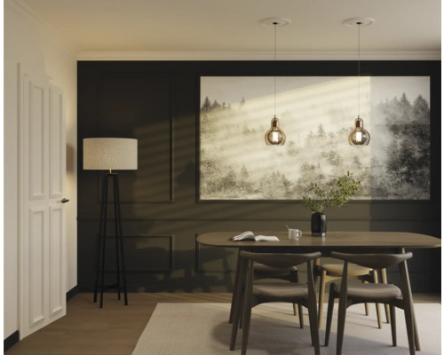 Salle à manger avec table à manger, chaises, lampadaire et suspensions