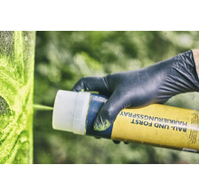 Une personne gantée utilise un aérosol de marquage pour la construction et la forêt.