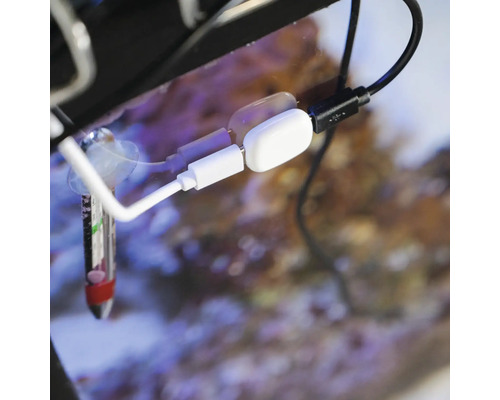 USB-Anschluss an einer weißen Aquarium-Steuerung, die an der Glasscheibe befestigt ist, neben einem Thermometer.