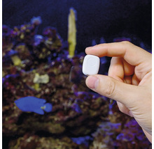 Eine Hand hält einen kleinen weißen Smart-Home-Sensor vor einem Aquarium.