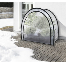 Double châssis de culture avec des plantes sur une terrasse en bois en hiver