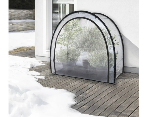Double châssis de culture avec des plantes sur une terrasse en bois en hiver