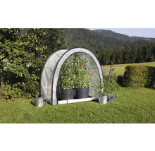 Tente à tomates avec plants de tomates et arrosoirs dans le jardin