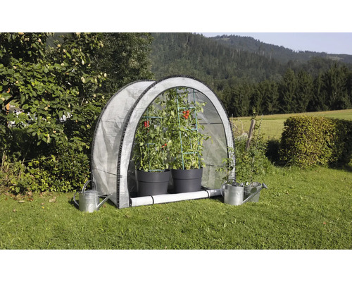 Tente à tomates avec plants de tomates et arrosoirs dans le jardin