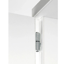 Porte avec charnière métallique