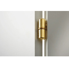 Paumelle couleur laiton sur une porte