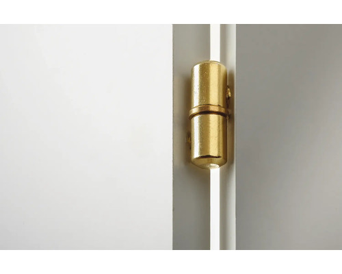 Paumelle couleur laiton sur une porte