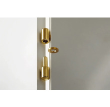 Paumelle de porte couleur laiton pour fixation sur une porte