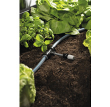 Bewässerungssystem im Gemüsebeet mit Basilikum und Salat