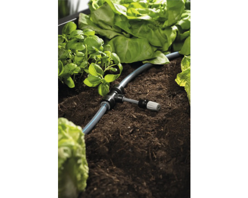 Bewässerungssystem im Gemüsebeet mit Basilikum und Salat