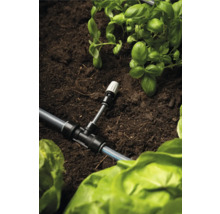 Bewässerungssystem mit T-Stück und Pflanzen im Gartenbeet