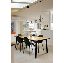 Coin repas moderne et lumineux avec une grande table en bois, des chaises en métal noir et une suspension arquée.