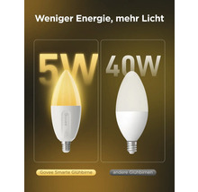 Vergleich einer Govee smarten Glühbirne mit 5 Watt und einer Standard Glühbirne mit 40 Watt.