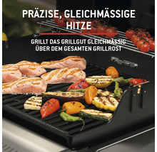 Barbecue avec saumon, poivron, courgette, aubergine et tomates