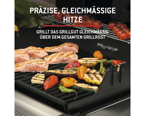 Barbecue avec saumon, poivron, courgette, aubergine et tomates