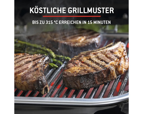 Grill avec viande et légumes pour de délicieux motifs de grillades