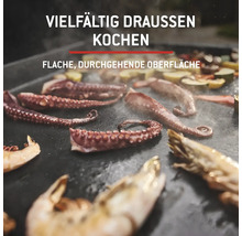 Oktopus, Garnelen und Gemüse werden auf einer Grillplatte zubereitet