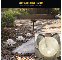 Scène de jardin avec des lampes solaires en forme de fleurs et une lampe solaire avec piquet de terre