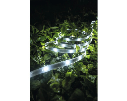 Beleuchteter LED Lichtschlauch auf grünen Blättern im Garten