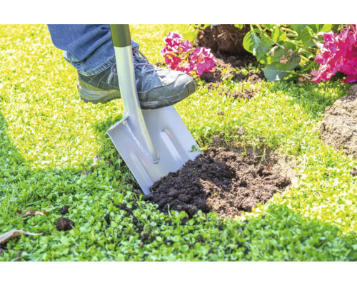 Eine Person gräbt mit einem Spaten ein Loch in einen Rasen für die Gartenarbeit.
