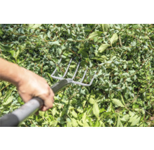 Une personne ratisse des feuilles avec un râteau en métal.