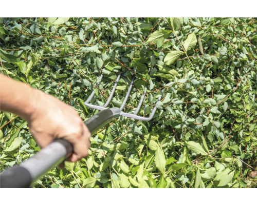 Une personne ratisse des feuilles avec un râteau en métal.