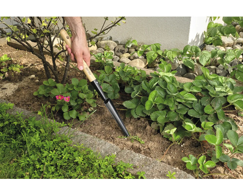 Scène de jardin avec un plantoir en utilisation pour planter des semis