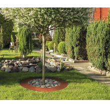 Jardin avec arbre, pierres et pelouse