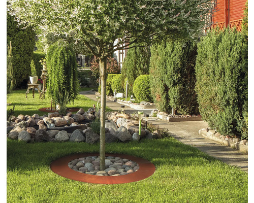 Jardin avec arbre, pierres et pelouse