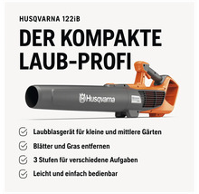 Souffleur de feuilles sans fil Husqvarna 122iB pour petits et moyens jardins
