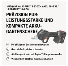 Sécateur de jardin à batterie Husqvarna Aspire PS30X avec batterie et chargeur