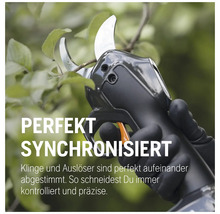 Sécateur à batterie coupant une branche