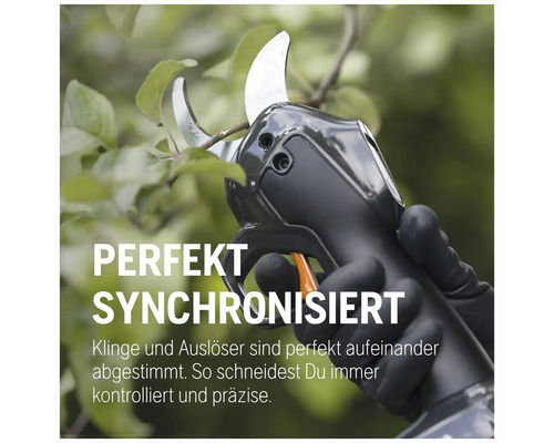 Sécateur à batterie coupant une branche