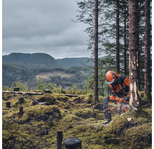 Un homme portant des vêtements de protection et un casque travaille avec une tronçonneuse dans une forêt.