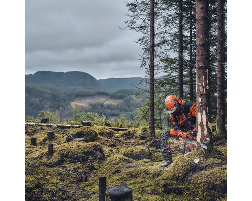 Un homme portant des vêtements de protection et un casque travaille avec une tronçonneuse dans une forêt.