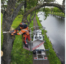 Arboriste avec une tronçonneuse sur une plateforme élévatrice effectuant des travaux d'élagage sur un arbre à côté d'un canal