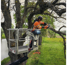 Un arboriste dans une nacelle coupe des branches avec une tronçonneuse.