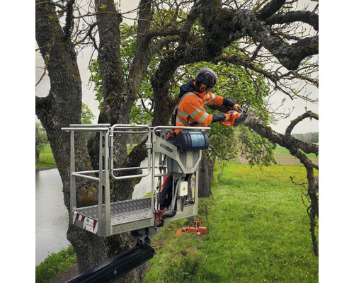 Un arboriste dans une nacelle coupe des branches avec une tronçonneuse.