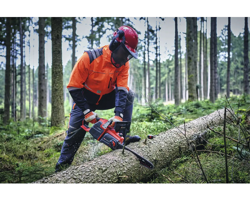 Un forestier coupe une bûche avec une tronçonneuse dans la forêt.