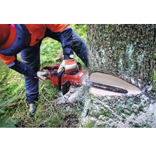 Une personne scie un arbre avec une tronçonneuse.