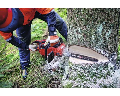 Une personne scie un arbre avec une tronçonneuse.