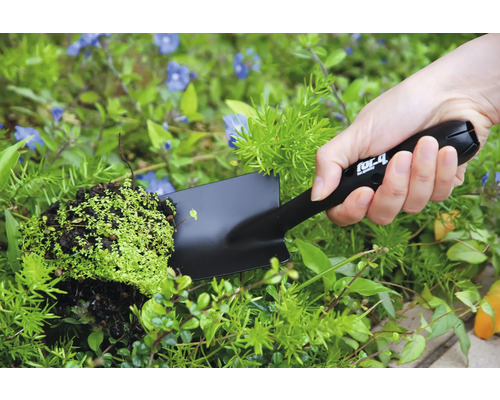 Une personne tient une truelle à main avec une plante dans le jardin.