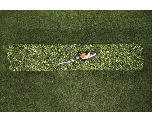 Vue de dessus : taille-haie sur une haie taillée dans l’herbe