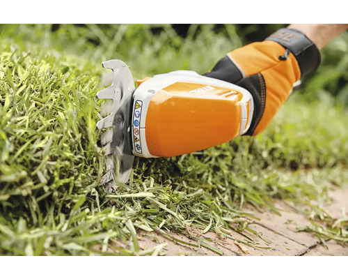 Cisailles à gazon sans fil en action pour couper l'herbe