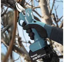 Sécateur à batterie Makita 18 Volt utilisé pour couper une branche d un arbre.