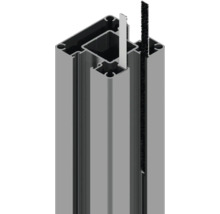 Profilé en aluminium avec joint et brosse