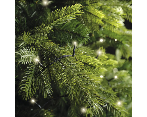 Nahaufnahme von grünen Tannenweigen mit einer warmweißen LED-Lichterkette.