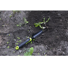 Outil de jardinage et plante dans la terre du jardin