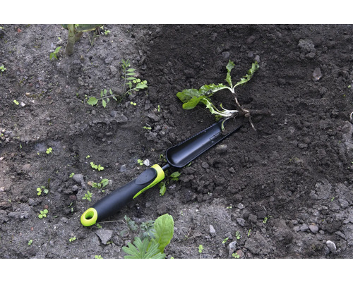 Outil de jardinage et plante dans la terre du jardin
