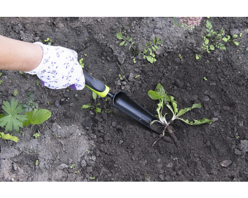 Jardinage avec une plantoir dans une terre sombre, protégé par des gants de jardinage.